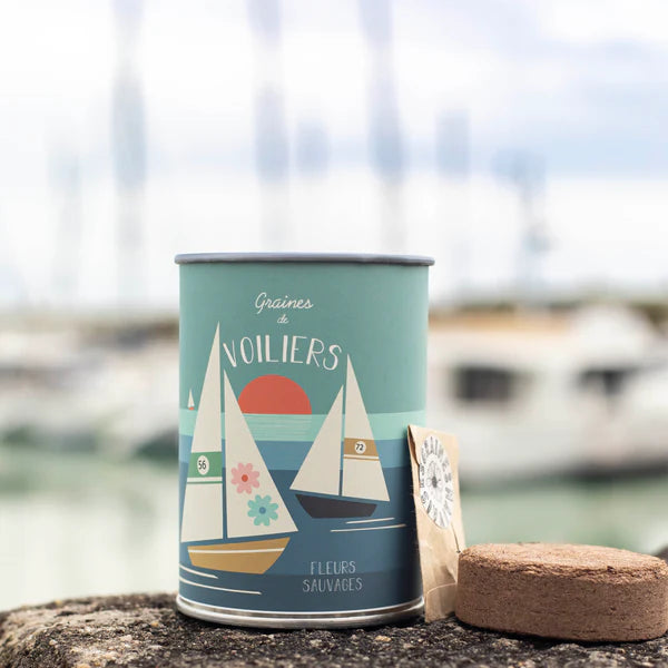Graines à Semer "Voiliers" Graines de Fleurs d&