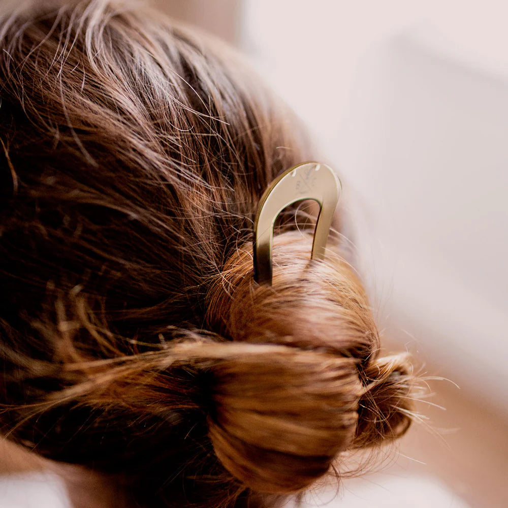 Pic Chignon Doré