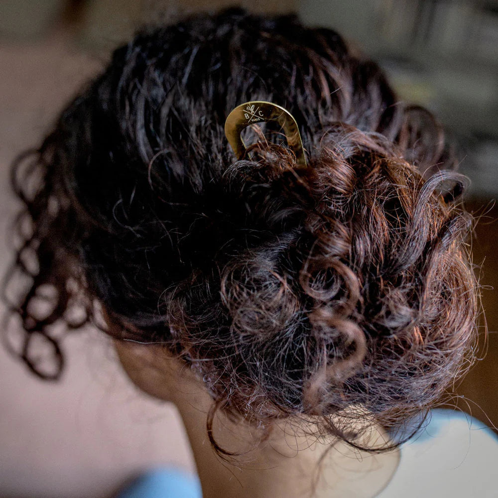 Pic Chignon Doré