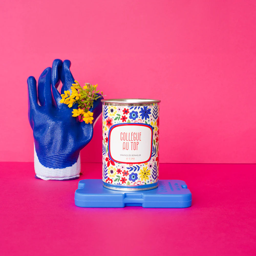 Graines à Semer Collègue au Top