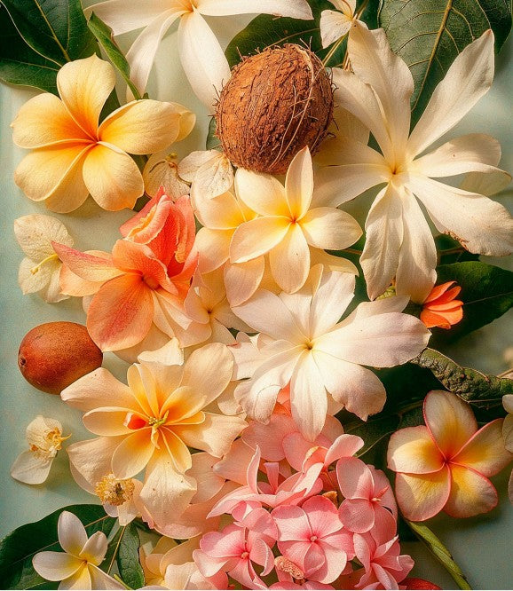 Diffuseur de Parfum - Le Soleil