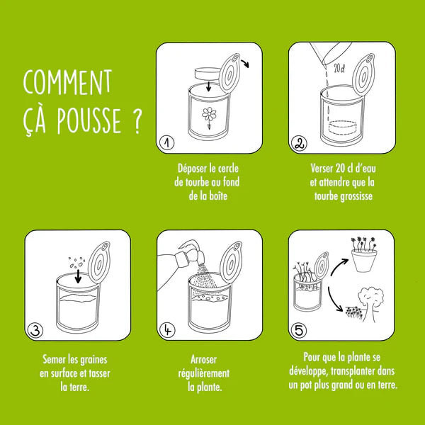 Graines à Semer Je T&