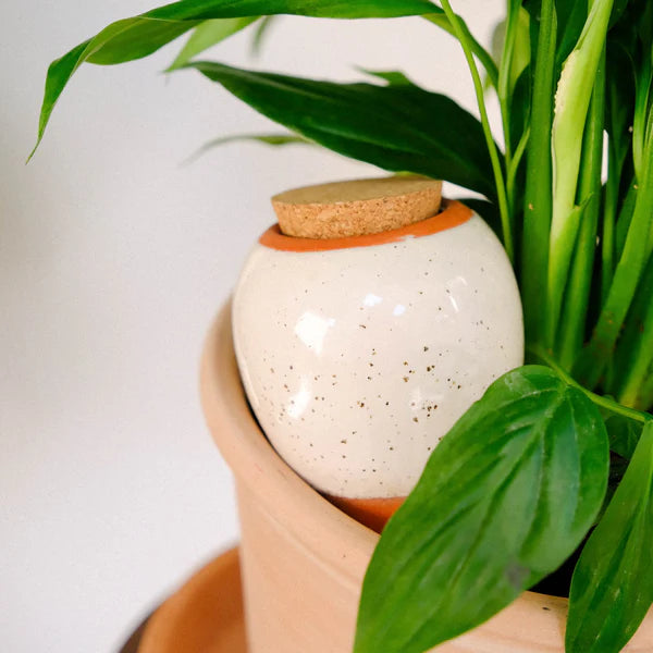 Réservoir à Eau Olla - Blanc Grainé - 25cl