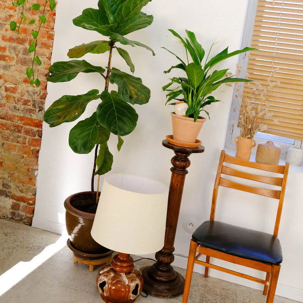 Réservoir à Eau Olla - Blanc Grainé - 25cl