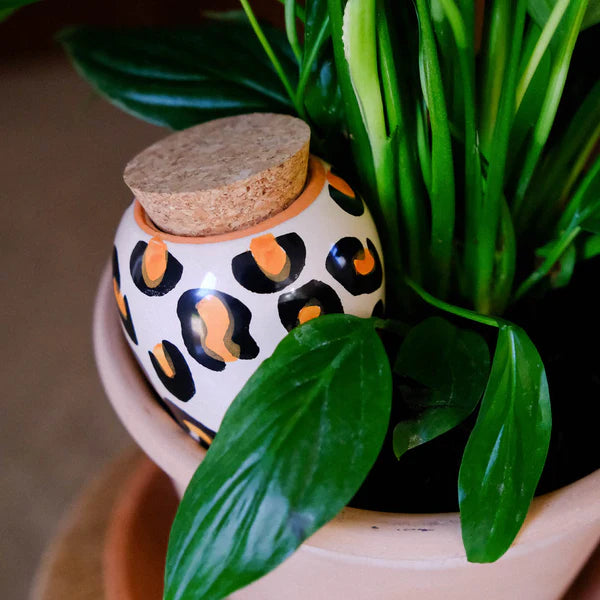 Réservoir à Eau Olla - Léopard - 25cl