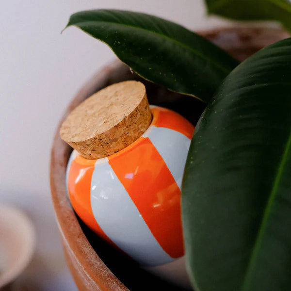 Réservoir à Eau Olla - Rayé - Orange et Bleu - 25cl