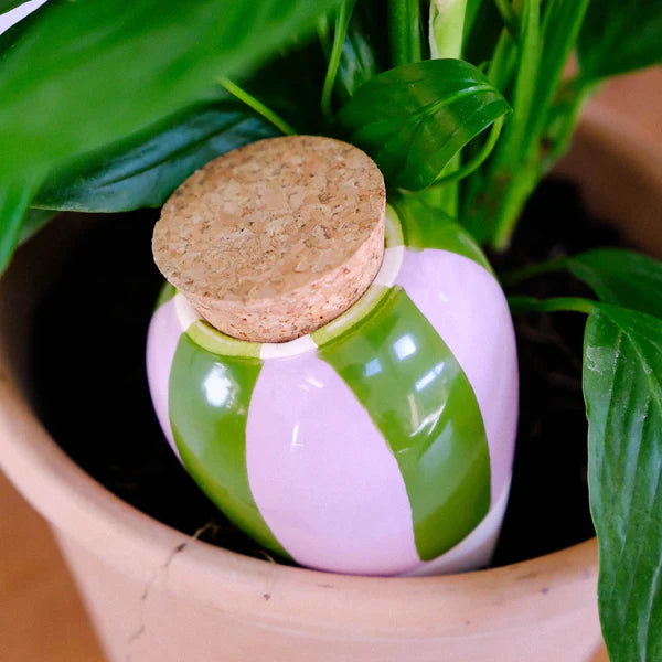 Réservoir à Eau Olla - Rayé Vert et Lilas - 25cl