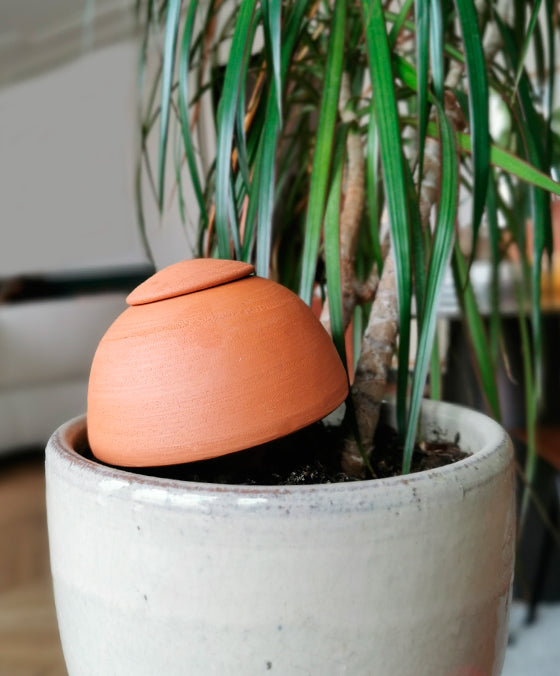 Réservoir à Eau Olla Papa Champi Terracotta - 50cl