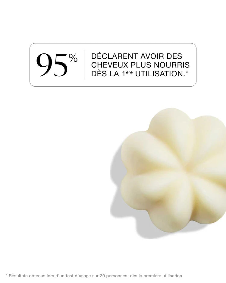Shampoing Solide - Collection Rhubarbe Sésame