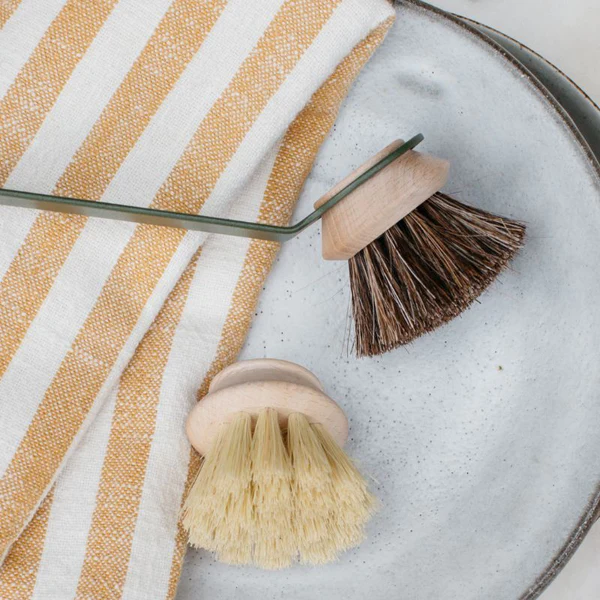 Tête de Rechange Medium "SUPER Brosse Vaisselle"