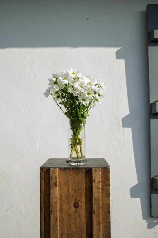 Vase Éphémère 35000