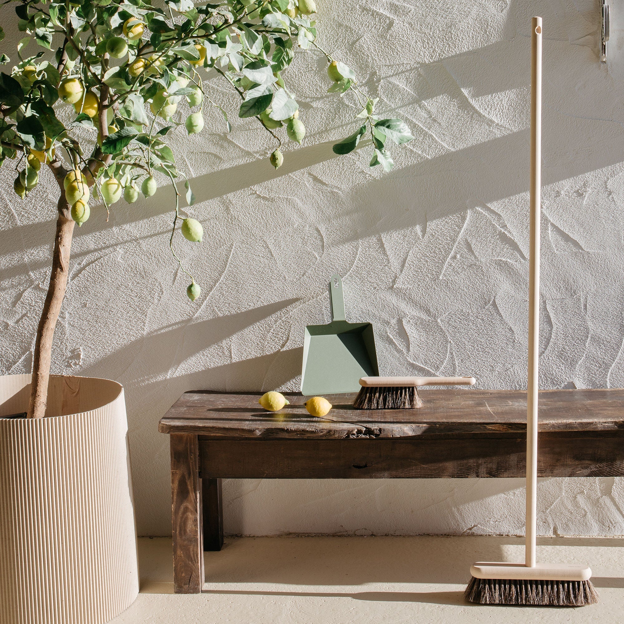 Balai Craft Sans Manche en Hêtre