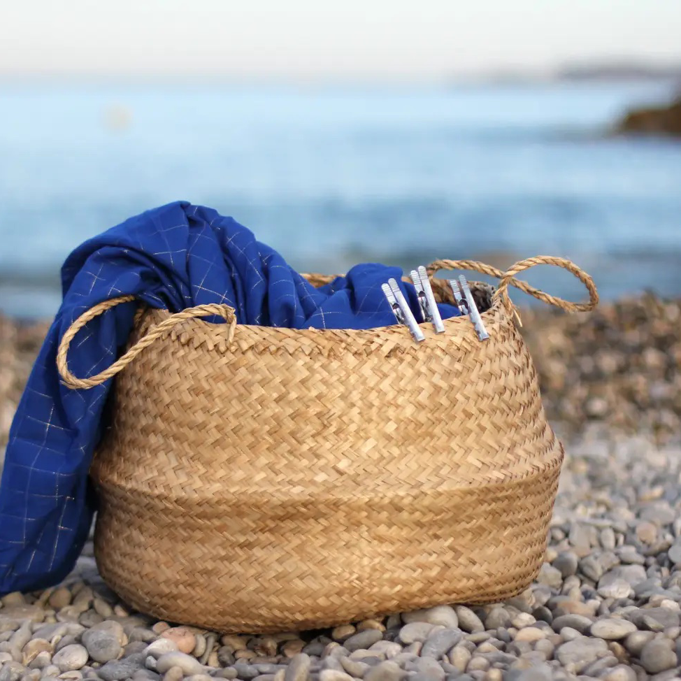 Pack 20 Pinces à Linge en Inox