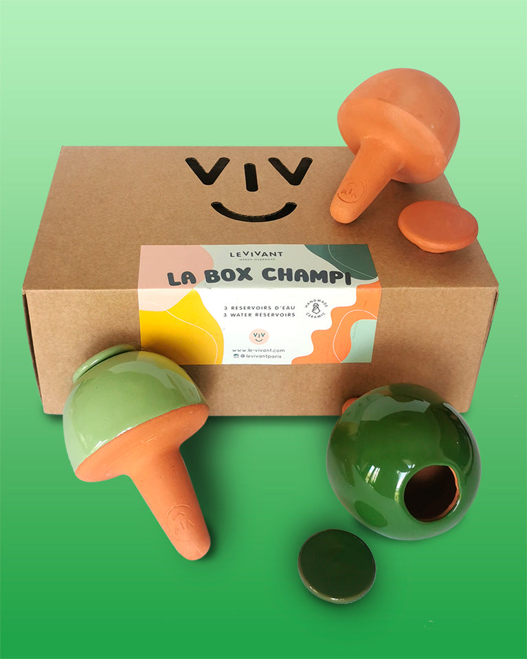 Coffret 3 Réservoirs à Eau Champi Olla - Terragreen