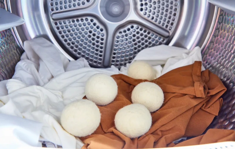 Lot de 5 Balles de Séchage