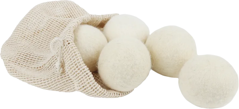 Lot de 5 Balles de Séchage