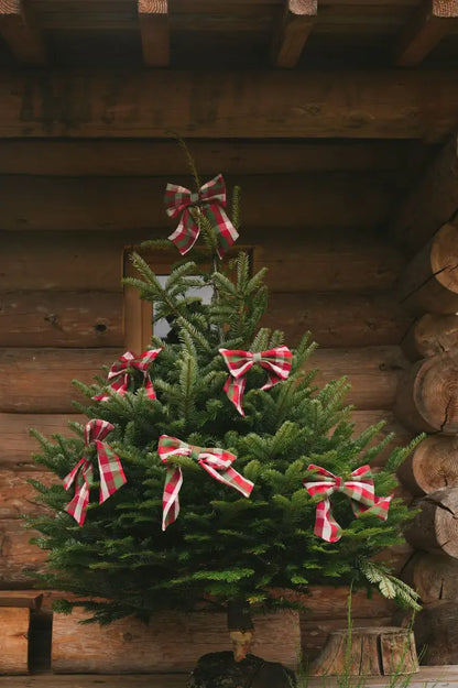 Noeuds de Noël Kantine Chili - Lot de 2