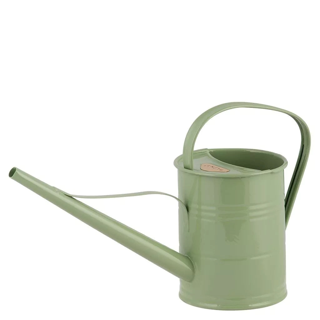 Arrosoir de Salon Vert Clair - 1,5 L