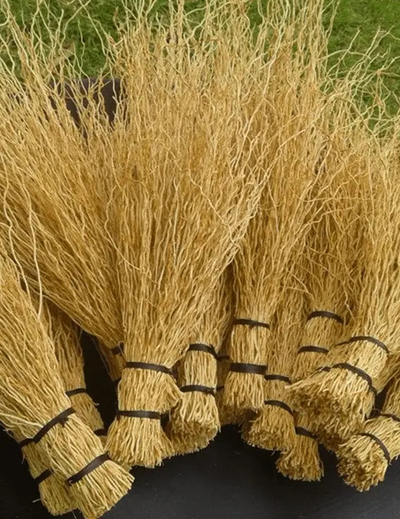 Bouquet de Racines de Vétiver