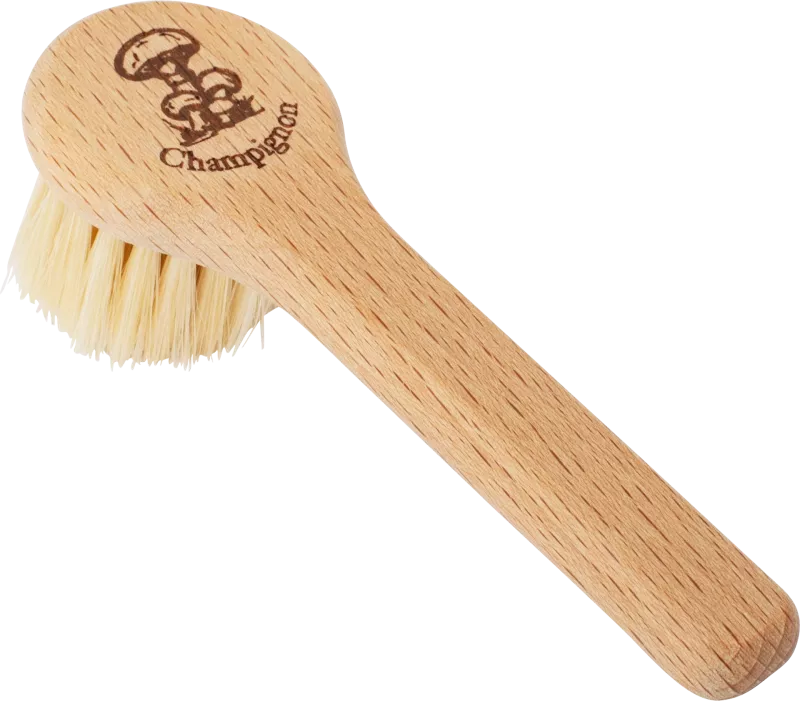 Brosse à Champignons