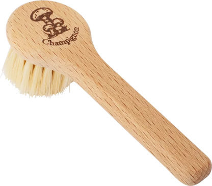Brosse à Champignons
