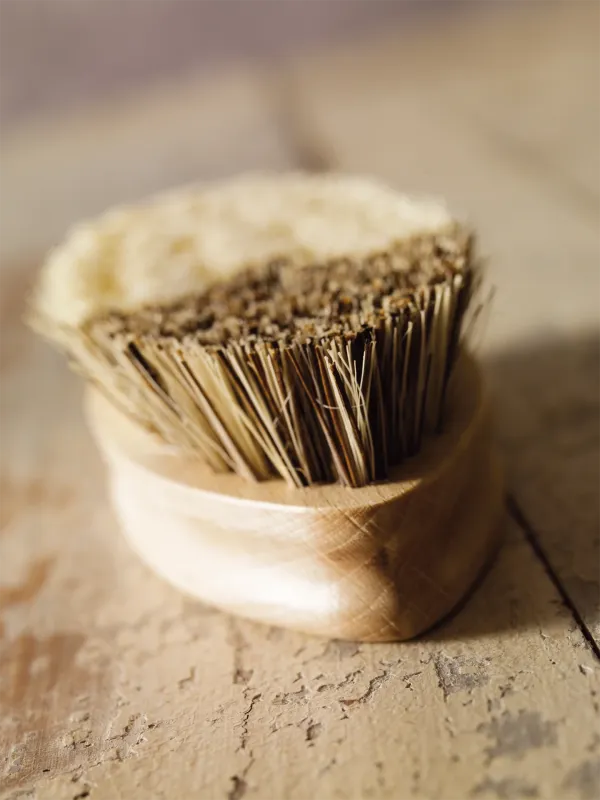 Brosse à Légumes 2 Duretés