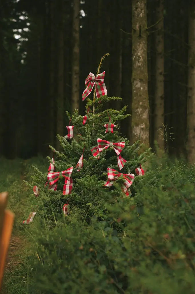 Décoration de Noël Kantine Chili - Lot de 4