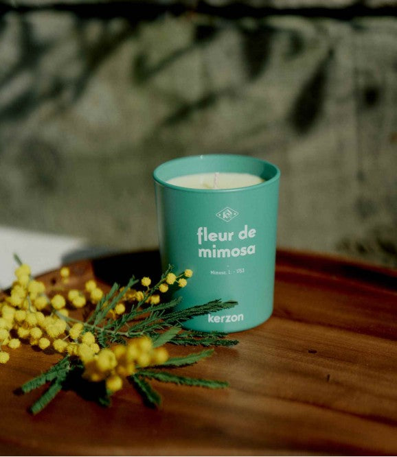 Bougie Parfumée - Fleur de Mimosa