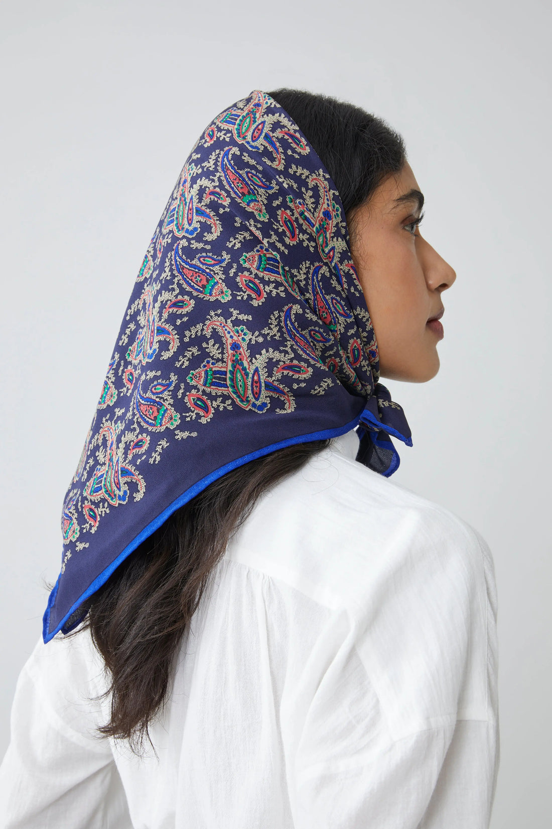 Foulard en Soie Colibri N°763 Uniform
