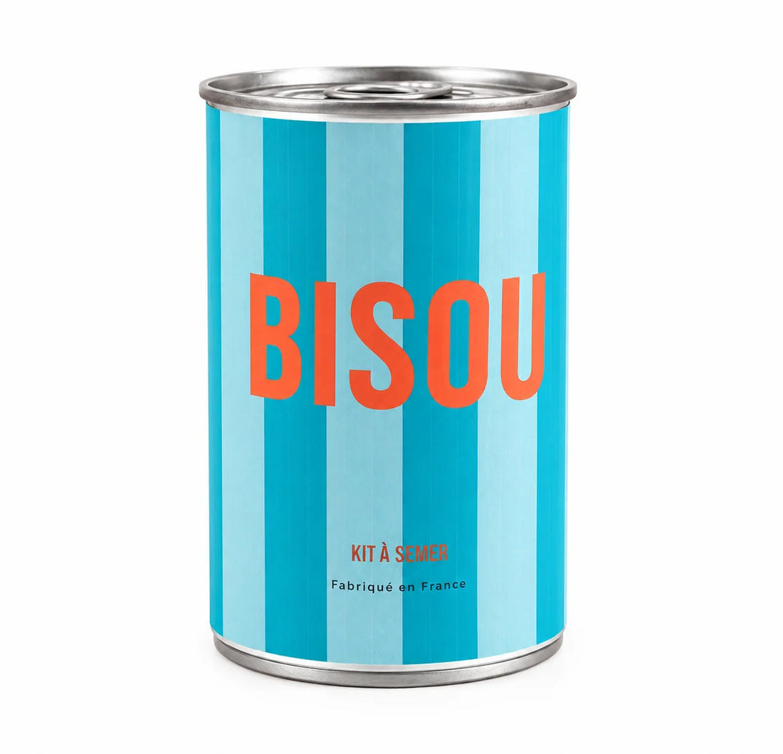 Graines à Semer Bisou - Rayures Bleues