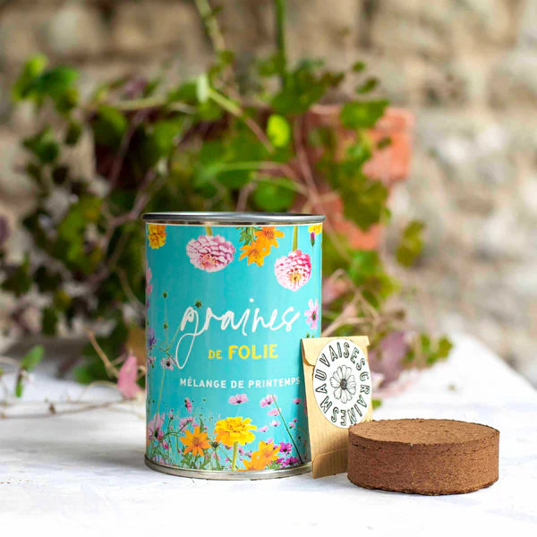 Graines à Semer Folie Pot Bleu