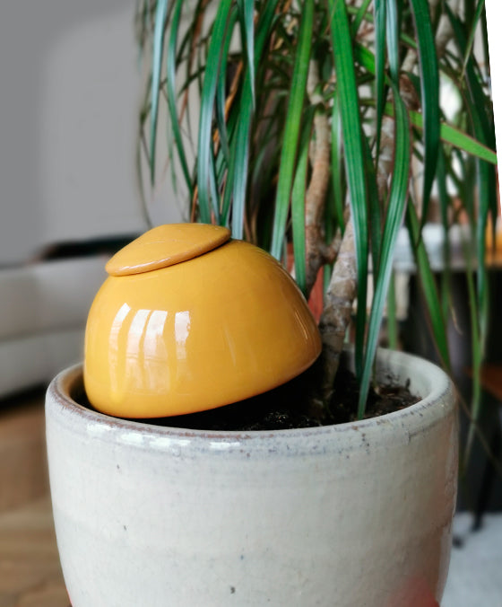 Réservoir à Eau Olla Papa Champi Jaune - 50cl