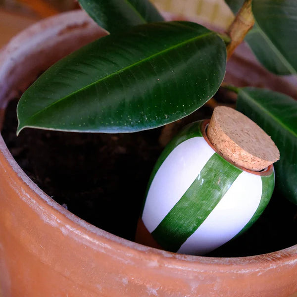 Réservoir à Eau Olla - Rayé Vert et Blanc - 25cl