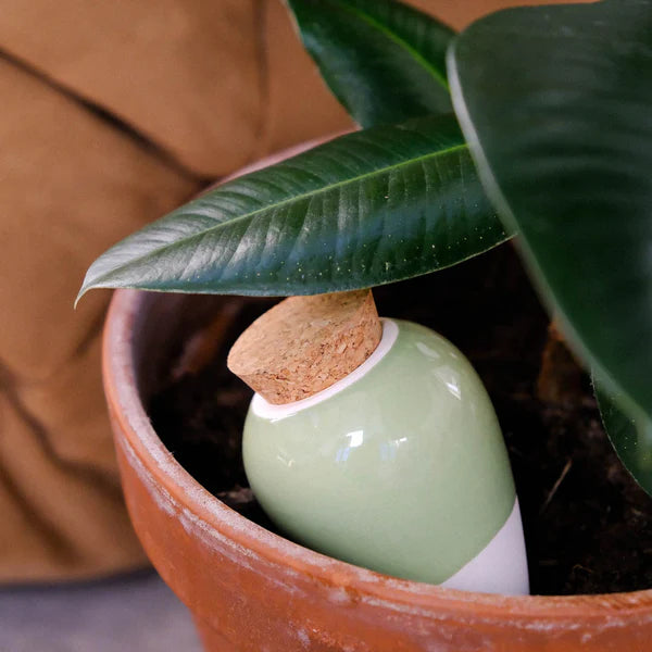 Réservoir à Eau Olla - Vert - 25cl