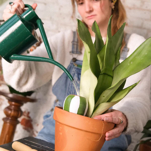 Réservoir à Eau - Trio Mini Ollas - Les Rayées