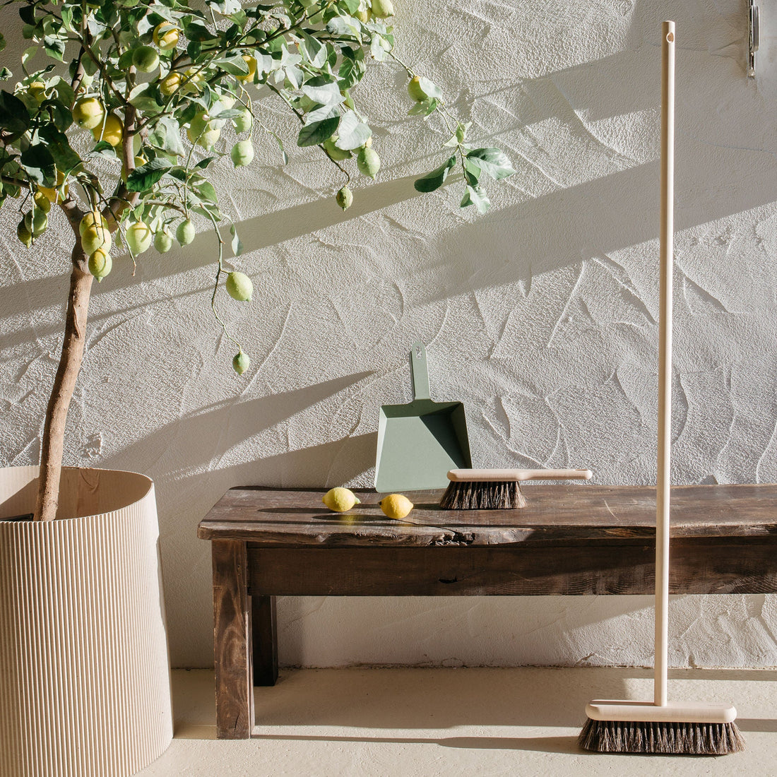 Balai Craft Sans Manche en Hêtre